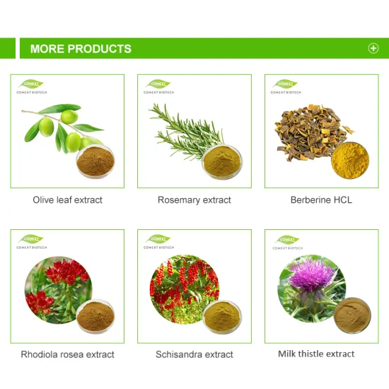 Comext Fssc China Amostra grátis de fábrica HPLC 50% 98% Natural Herbal Polygonum Cuspidatum Plant Giant Knotweed Extract Powder Antioxidant Resveratrol for Skin Care